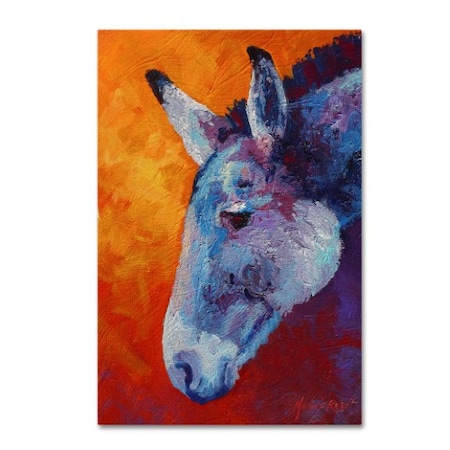 Marion Rose 'Burro IV' Canvas Art,30x47